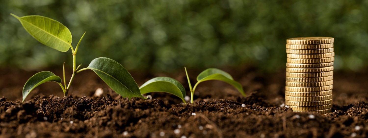 Government Plans Green Budget for 2026–27 to Promote Sustainable Development